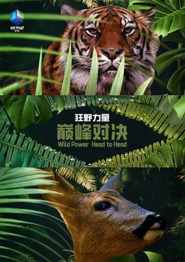 狂野的力量：巅峰对决 第一季